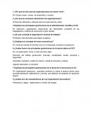 ¿Por qué se dice que las organizaciones son seres vivos?