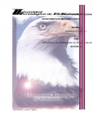 DESARROLLO DEL PRIMER AVANCE AUTOMOTO S.A. DE C.V.