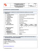 CONTENIDO PROGRAMATICO DE AUDITORIA