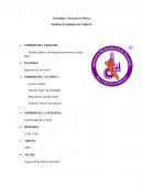 Estafeta, planes y estrategias para mejora a largo plazo.