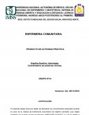 ENFERMERIA COMUNITARIA PRODUCTO DE ACTIVIDAD PRÁCTICA