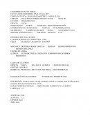 MECÁNICA	DEFORMACIONES	GRIETAS	FISURAS	DESPRENDIMIENTOS	EROSIÓN MECÁNIC