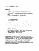 PROBLEMA DE INVESTIGACION ¿Y SI LA MUERTE NO ES EL FINAL?