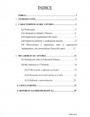 Observaciones e impresiones sobre la organización reglamentaria y las características físicas del centro