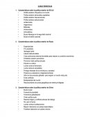 Características politica exterior