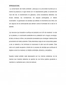 Reciclaje. La conservación del medio ambiente preocupa a la comunidad mundial