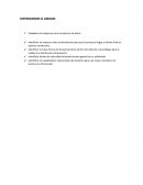 DISTRIBUIDOR CJ AMIGOS