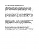 ARTICULO 14 CAMARA DE COMERCIO