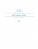 Problema: Sistema de riego ineficiente