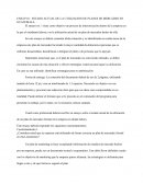 ESTADO ACTUAL DE LA UTILIZACION DE PLANES DE MERCADEO EN GUATEMALA.