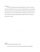 La mejor manera de tratar una patología es evitarla