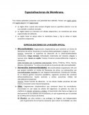 Especializaciones de membrana