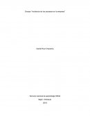 Ensayo “Incidencia de los procesos en la empresa”