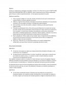 Ejemplo de el Proyecto gestion ambiental