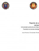 Reporte de campo iturbide