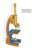 Biología INFORME LABORATORIO DE BIOLOGIA CELULAR ESTUDIO Y RECONOCIMIENTO DE BIOMOLECULAS ORGANICAS