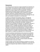 Una embarcación se mueve por el agua propulsada por elementos