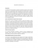 DOCUMENTO DE POSICIÓN DEL IIA