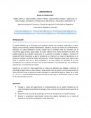 LABORATORIO #2 RESALTO HIDRAULICO