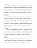 Derecho y el ser humano
