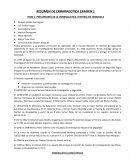 Como se da el Resumen de criminalistica