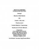 Unidad didáctica: V Aprendizaje