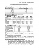 Como se da el Western Blot Protocol