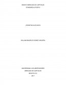ENSAYO MERCADO DE CAPITALES STANDARD & POOR´S