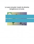 La nueva conquista: Invasión de alimentos transgénicos en el mundo