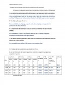 Ensayo de la microempresa
