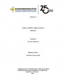 Gerencia Financiera Tintorerías Ruiz, S. A