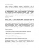 RESUMEN EJECUTIVO Ropa Isafra