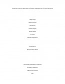 Ensayo De Producción Más Limpia Un Elemento Importante Para El Futuro Del Mundo