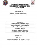 Trabajo de Física Actividad practica No.7