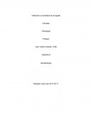 EL PORVENIR DE UNA NACION RICARDO ANDRADE