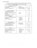 Observo la posición de la mandíbula para determinar el balance facial (armonía-belleza).