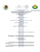 Principios de Manufactura de clase Mundial