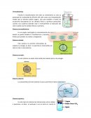 Conceptos de termodinamica
