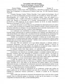 Formación Social Latinoamericana II