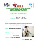 EL NUEVO PLAN DE ACCION EN EL AREA DE ENFERMERIA