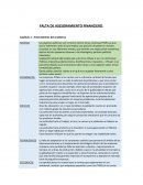 FALTA DE ASESORAMIENTO FINANCIERO