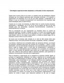 Estrategias organizacionales adaptadas y enfocadas al éxito empresarial