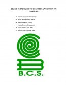 El estudio de la prostitución en el estado de Chiapas