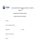 Derechos Humanos en Honduras Laboratorio práctico