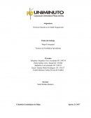 Mapa Conceptual Técnicas de Enseñanza Aprendizaje