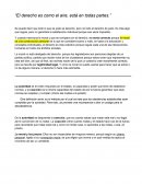 Desaroolo de Carlos Santiago Nino - Introducción al Derecho (Primer capítulo, apuntes)