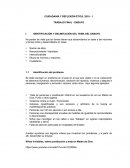 Pautas para ensayo Proyecto final Etica