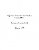 Diagnostico Comunitario Sobre Cultivos Básicos (Maíz)