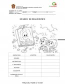 EXAMEN DE DIAGNOSTICO SEXTO
