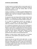 Accion de lesion enorme